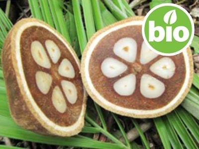 Óleo de Babaçu Desodorizado BIO