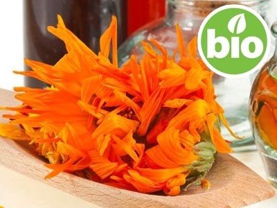Óleo de Calêndula BIO Macerado em Azeite Virgem Extra BIO
