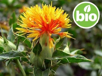 Óleo de Cártamo Virgem 1ª Prensagem BIO