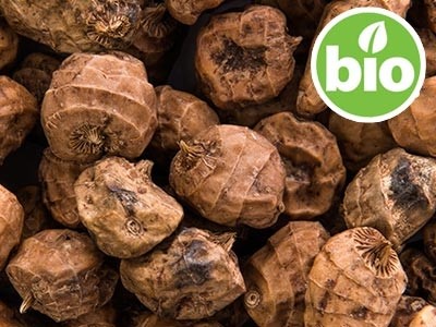 Óleo de Chufa de 1ª Prensagem BIO