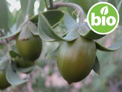 Óleo de Jojoba Virgem de 1ª pressão BIO