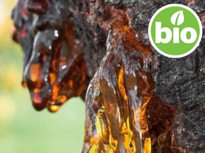 Óleo Essencial de Mirra BIO