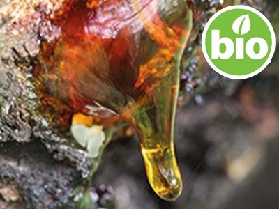 Óleo Essencial de Terebintina BIO
