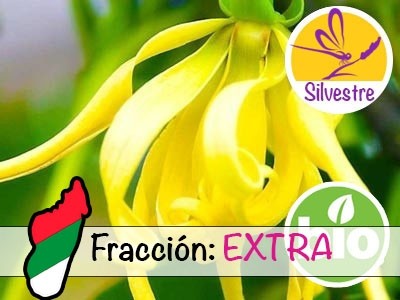 Óleo Essencial de Ylang Ylang Extra - Silvestre BIO