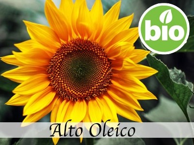Óleo de Girassol Alto Oleico RBDW BIO