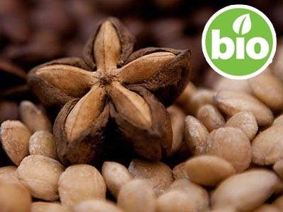 Óleo de Sacha Inchi de 1ª pressão BIO