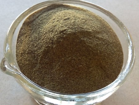 Alga Ascophyllum Nodosum em pó