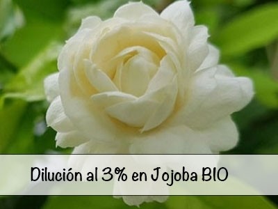 Diluição de Absoluto de Jasmim Sambac / Arábia a 3%