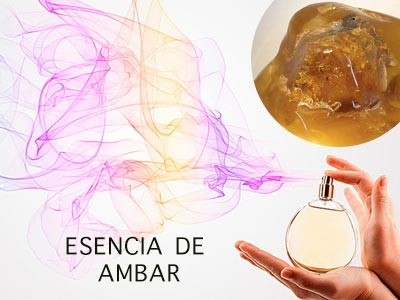 Essência de Âmbar