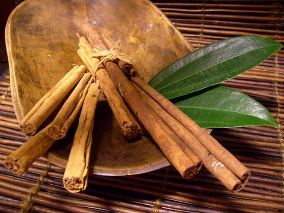 Fragrância de Canela