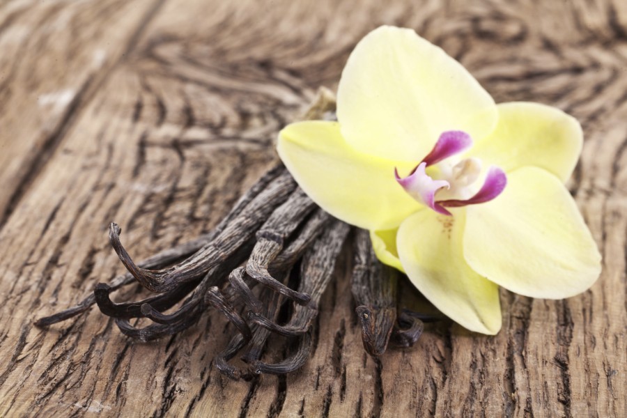 Fragrância de Baunilha