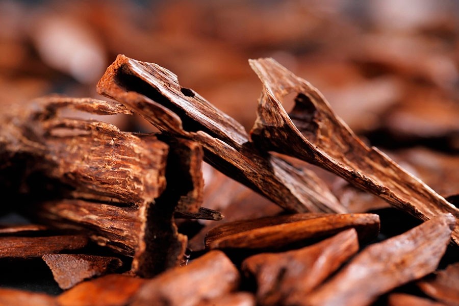 Fragrância de Sândalo