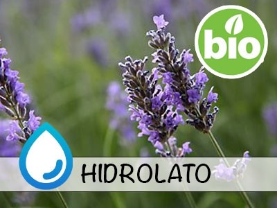 Hidrolato de Alfazema-espiga BIO