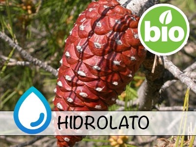Hidrolato de Pinheiro-de-alepo BIO