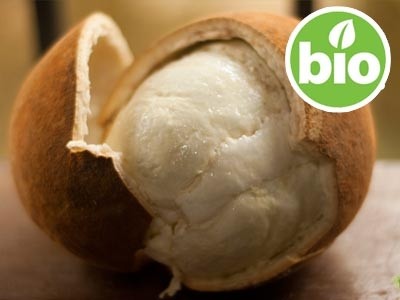 Manteiga de Cupuaçu de 1ª pressão BIO