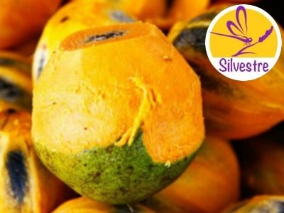 Manteiga de Tucumã Silvestre - Economia Circular