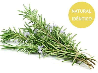  Óleo Essencial de Alecrim Cânfora Natural Idêntico