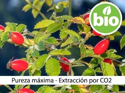 Óleo de Rosa-mosqueta BIO extração CO2