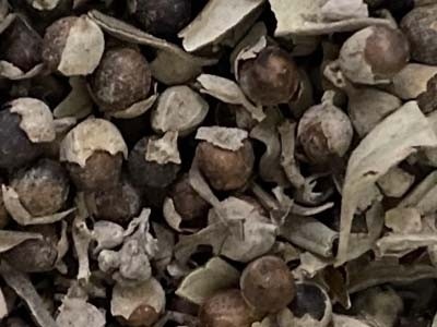 Agnocasto - Frutos silvestres
