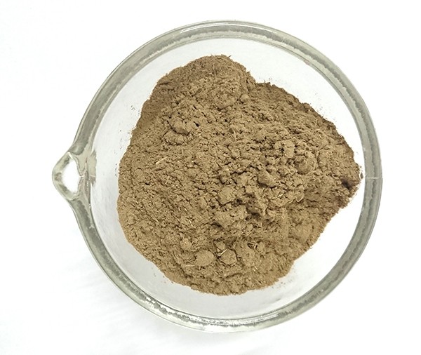 Tulsi em pó