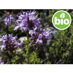 Óleo Essencial de Tomilho Marroquino Silvestre e BIO