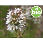 Óleo Essencial de Tomilho-limão BIO / Tomilho-bravo