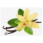Aroma de Baunilha com Especiarias