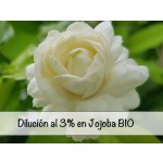 Diluição de Absoluto de Jasmim Sambac / da Arábia a 3%