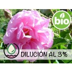 Diluição de Rosa de Damasco - Búlgara Otto BIO a 3%