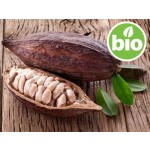 Manteiga de Cacau Crua de 1ª pressão BIO
