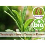 Alecrim Rebentos Jovens - Gemoterapia