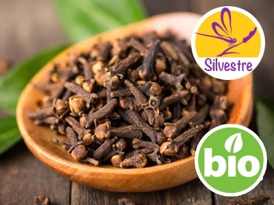 Óleo Essencial de Cravinho Silvestre e BIO