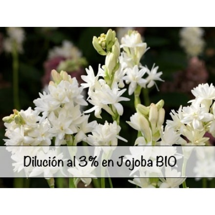 Diluição de Absoluto de Nardo Tuberosa a 3%