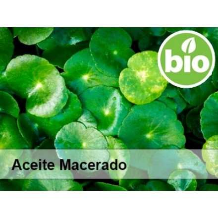 Óleo de Centella Asiática BIO