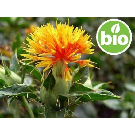 Óleo de Cártamo Virgem de 1ª pressão BIO