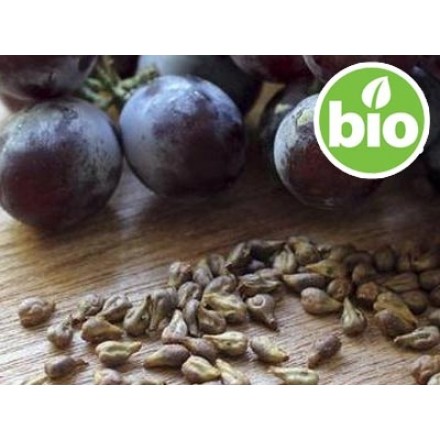 Óleo de Grainha de Uva Virgem BIO