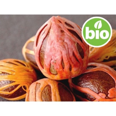 Óleo Essencial de Noz-moscada BIO - Silvestre