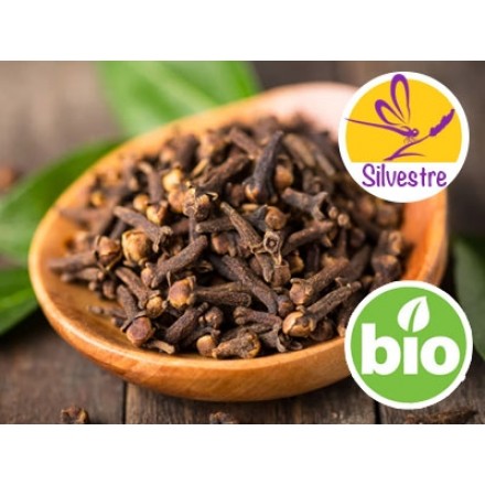 Óleo Essencial de Cravinho Silvestre e BIO