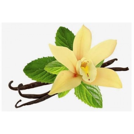 Aroma de Baunilha com Especiarias