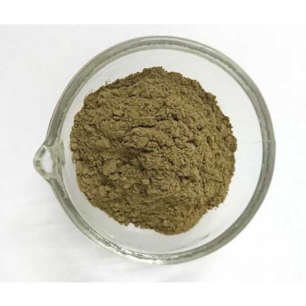 Brahmi em pó