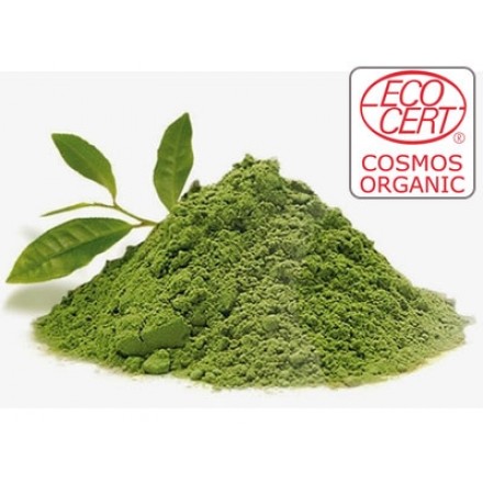 Extrato de Chá Verde Matcha - Hidroglicerinado.