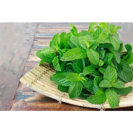 Fragrância de Hortelã-verde