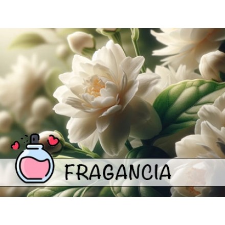 Fragrância de Jasmim Sambac