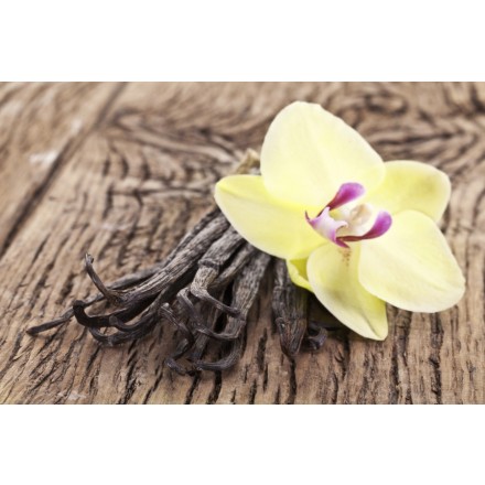 Fragrância de Baunilha