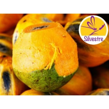 Manteiga de Tucumã Silvestre - Economia Circular