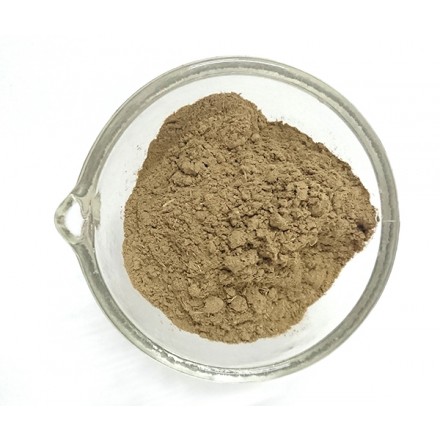 Tulsi em pó