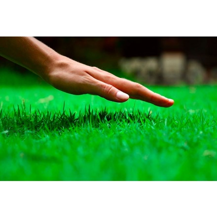 Parfum d’herbe fraîchement coupée