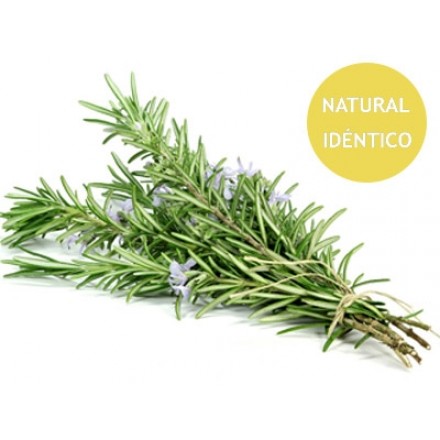 Romarin à camphre - Identique au naturel