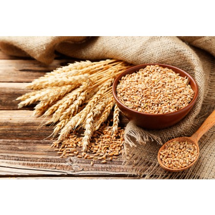 Olio di germe di grano vergine di 1ª spremitura