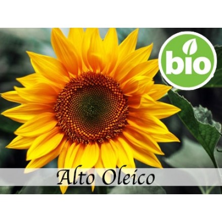 Olio di girasole alto oleico RBDW BIO